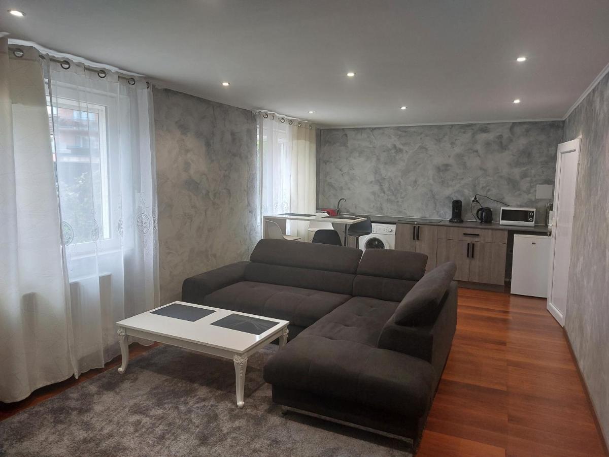 Famille House 101 Apartment ชาลง-ซูร์-ซอน ภายนอก รูปภาพ